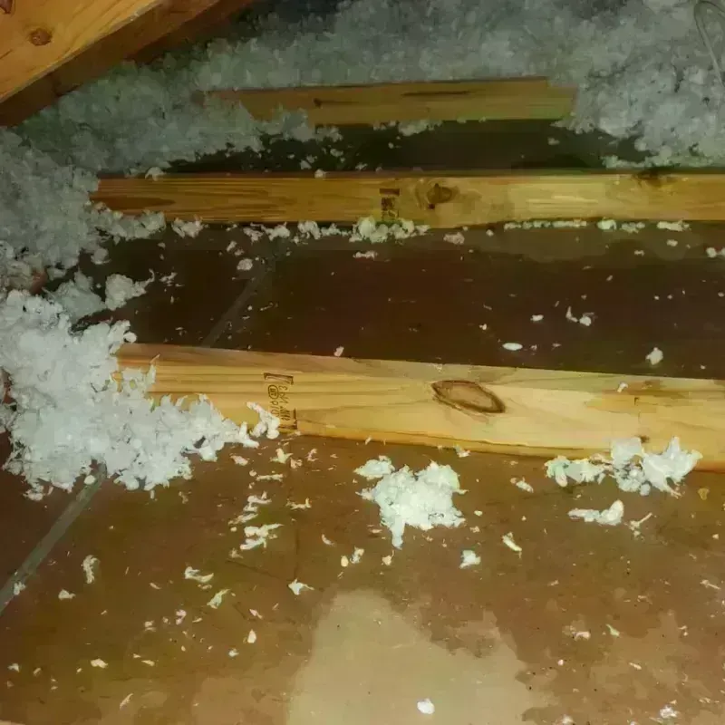 Attic Water Damage in Martinez, GA