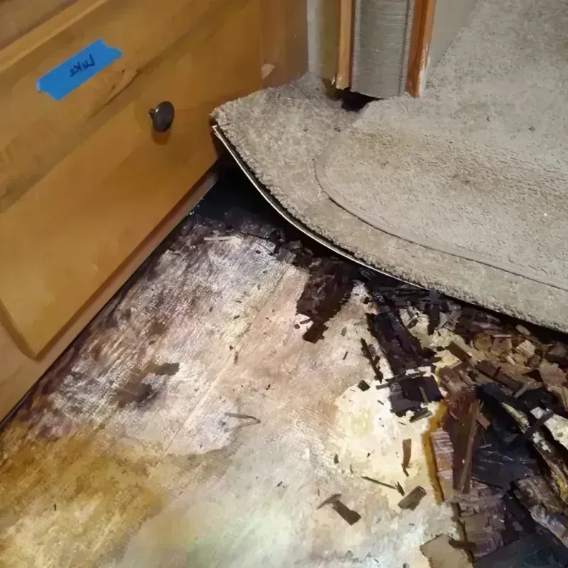 Wood Floor Water Damage in Martinez, GA